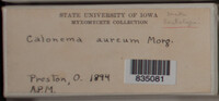 Image Associated With the Occurence